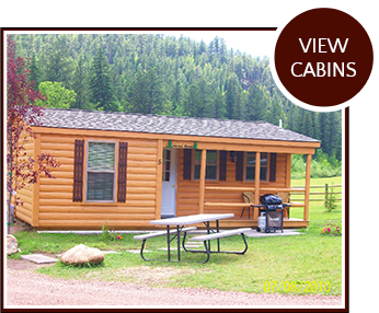 american pines cabins - cabin