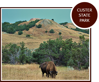 attractions - custer state park